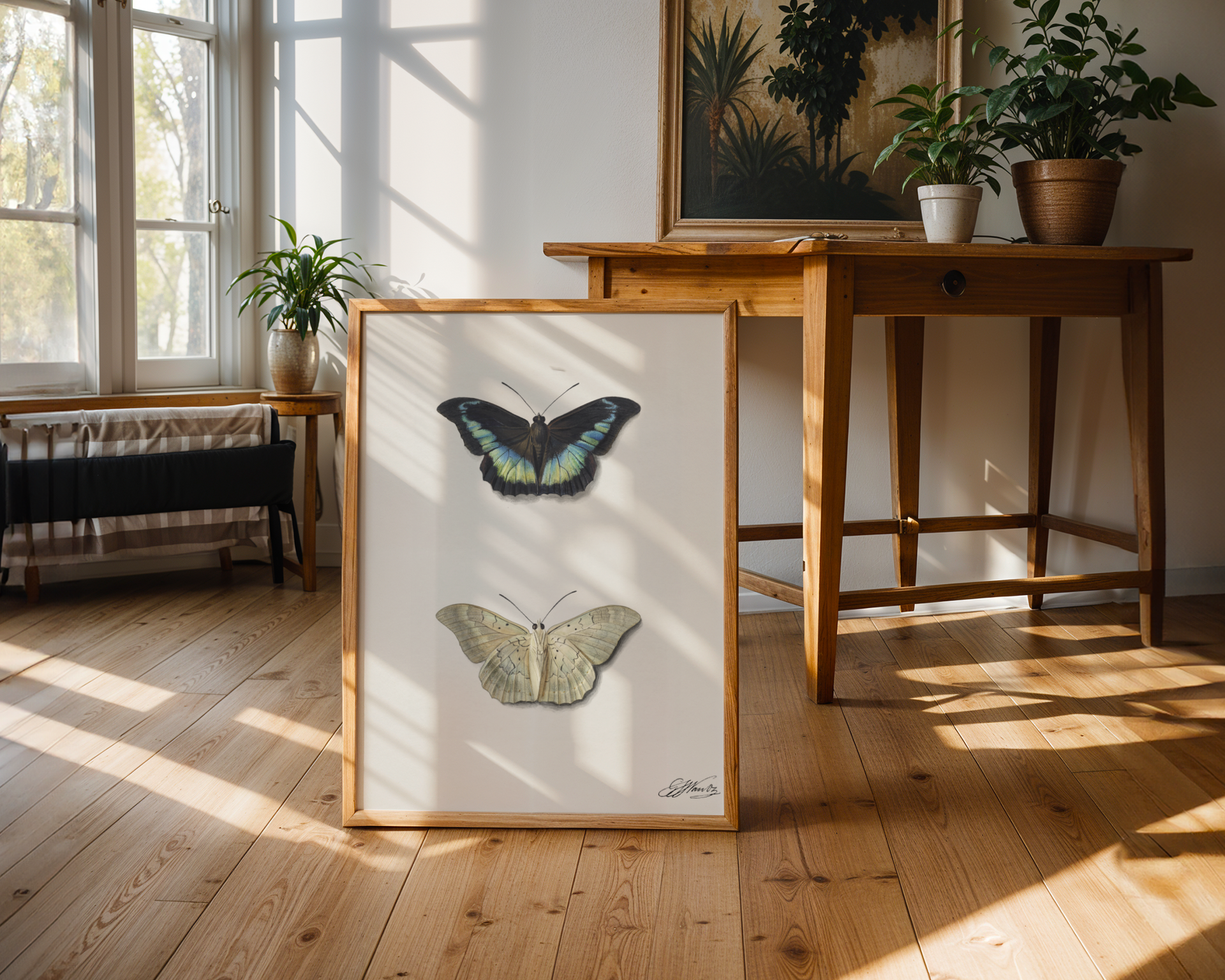 Georgius Jacobus Johannes van Os - Top and Bottom View of a Butterfly