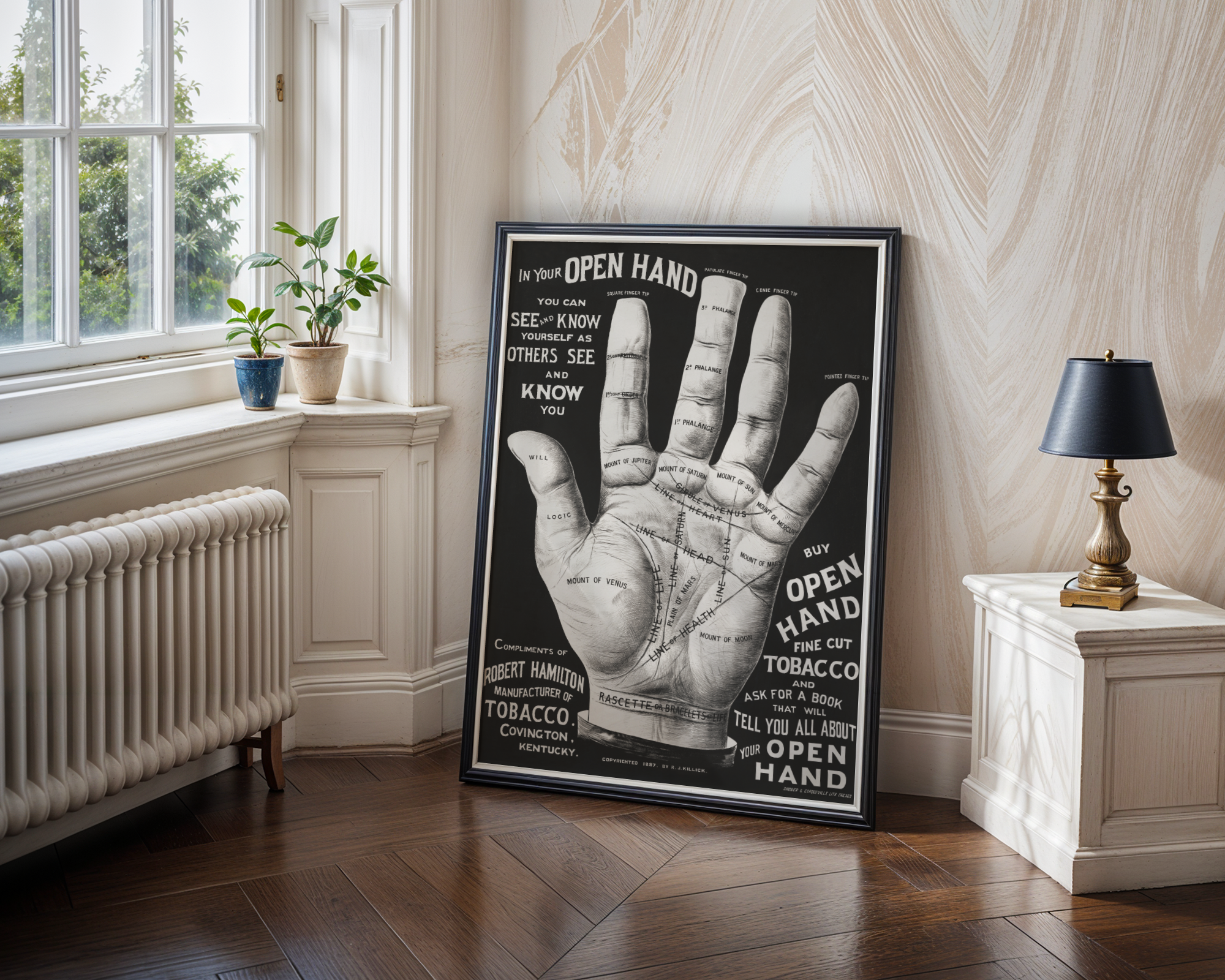 Open Hand, Palm Reading