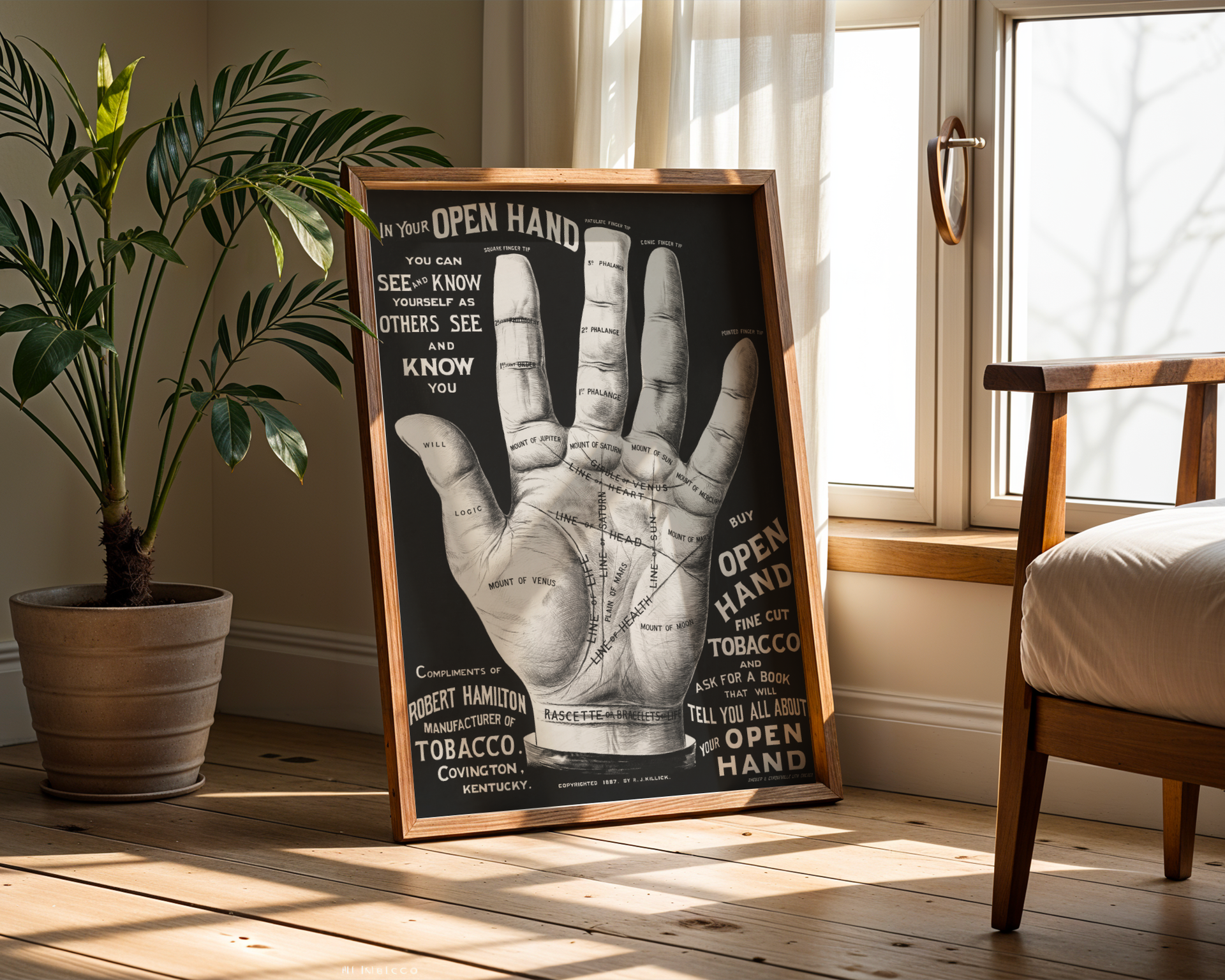 Open Hand, Palm Reading