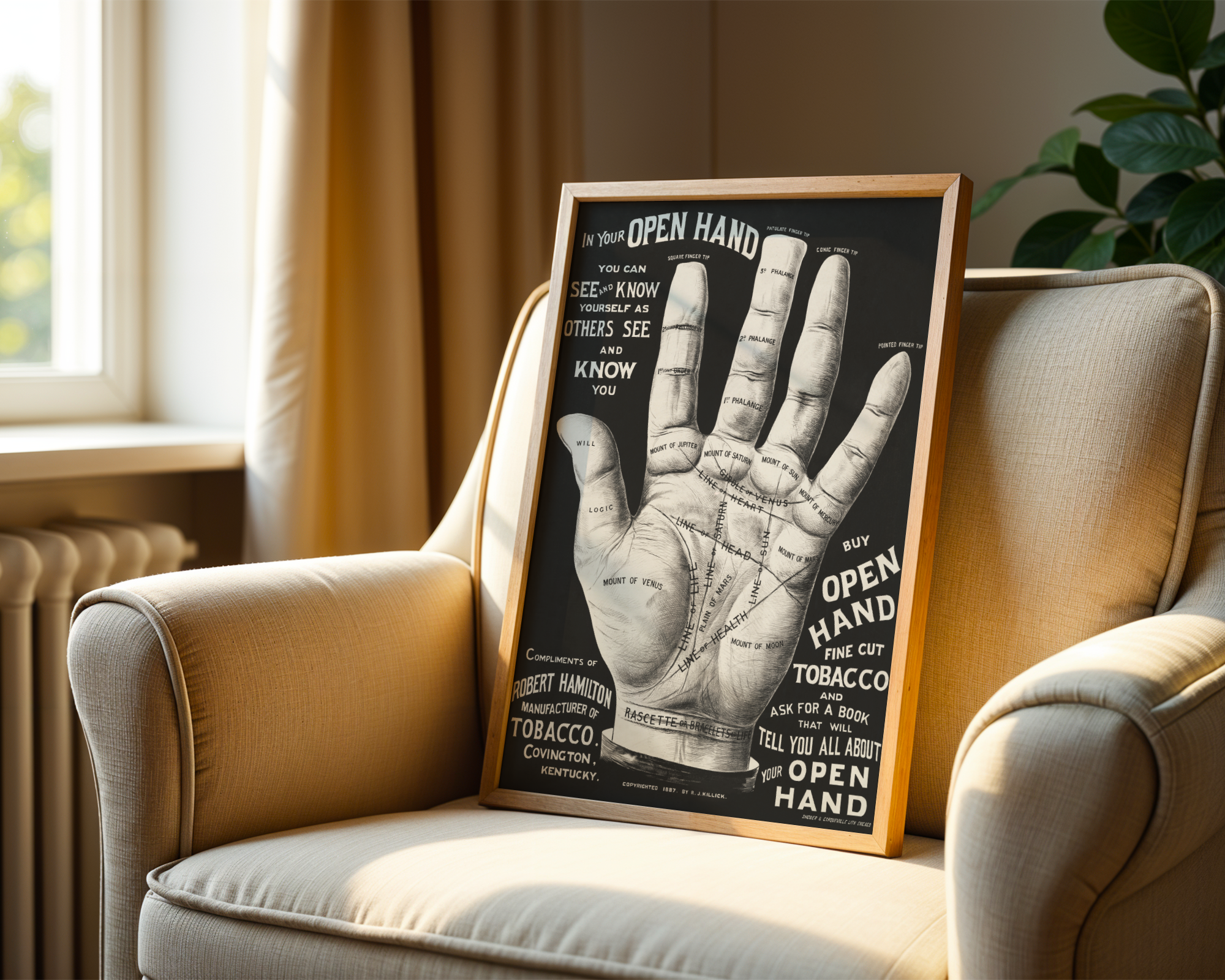 Open Hand, Palm Reading