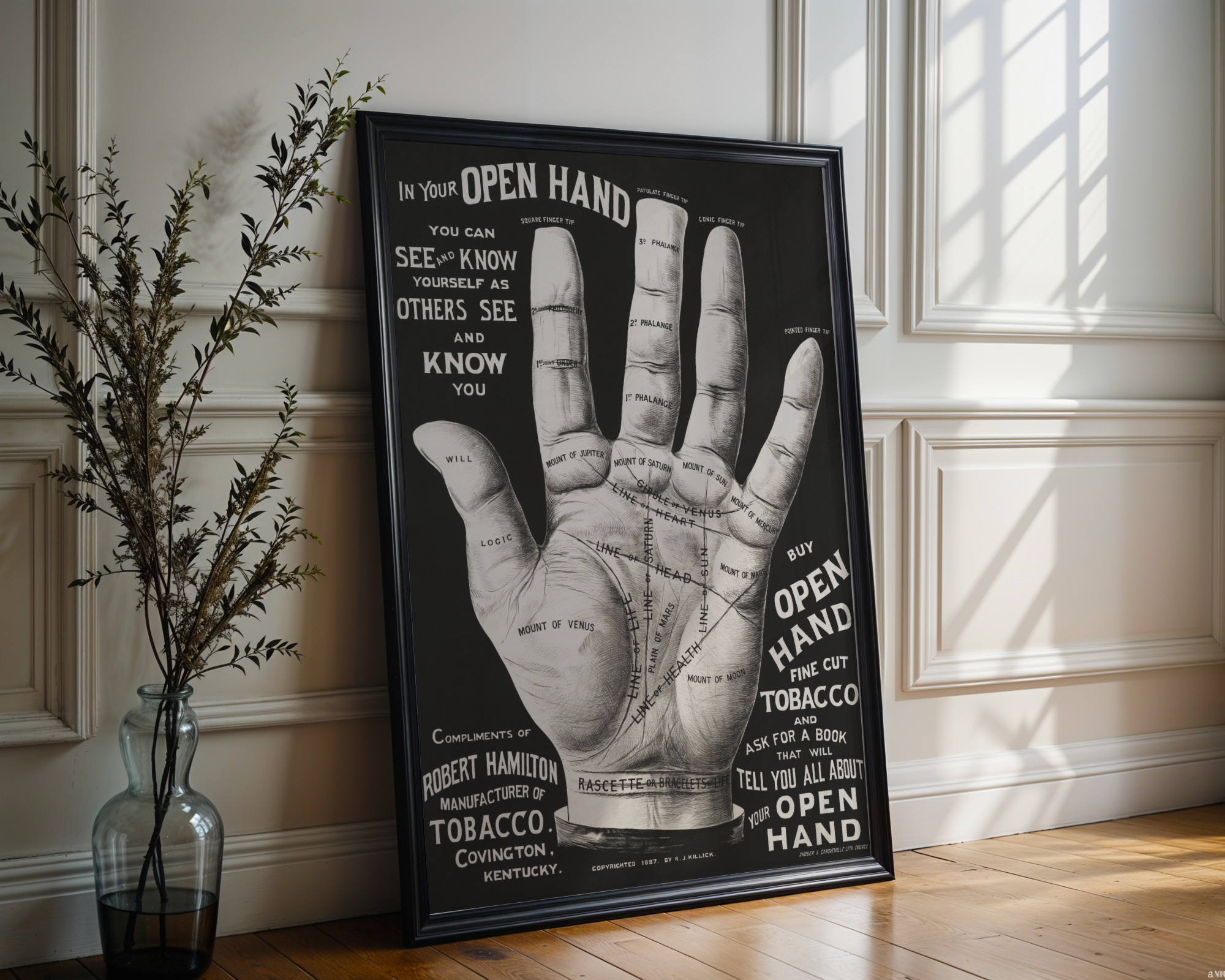 Open Hand, Palm Reading