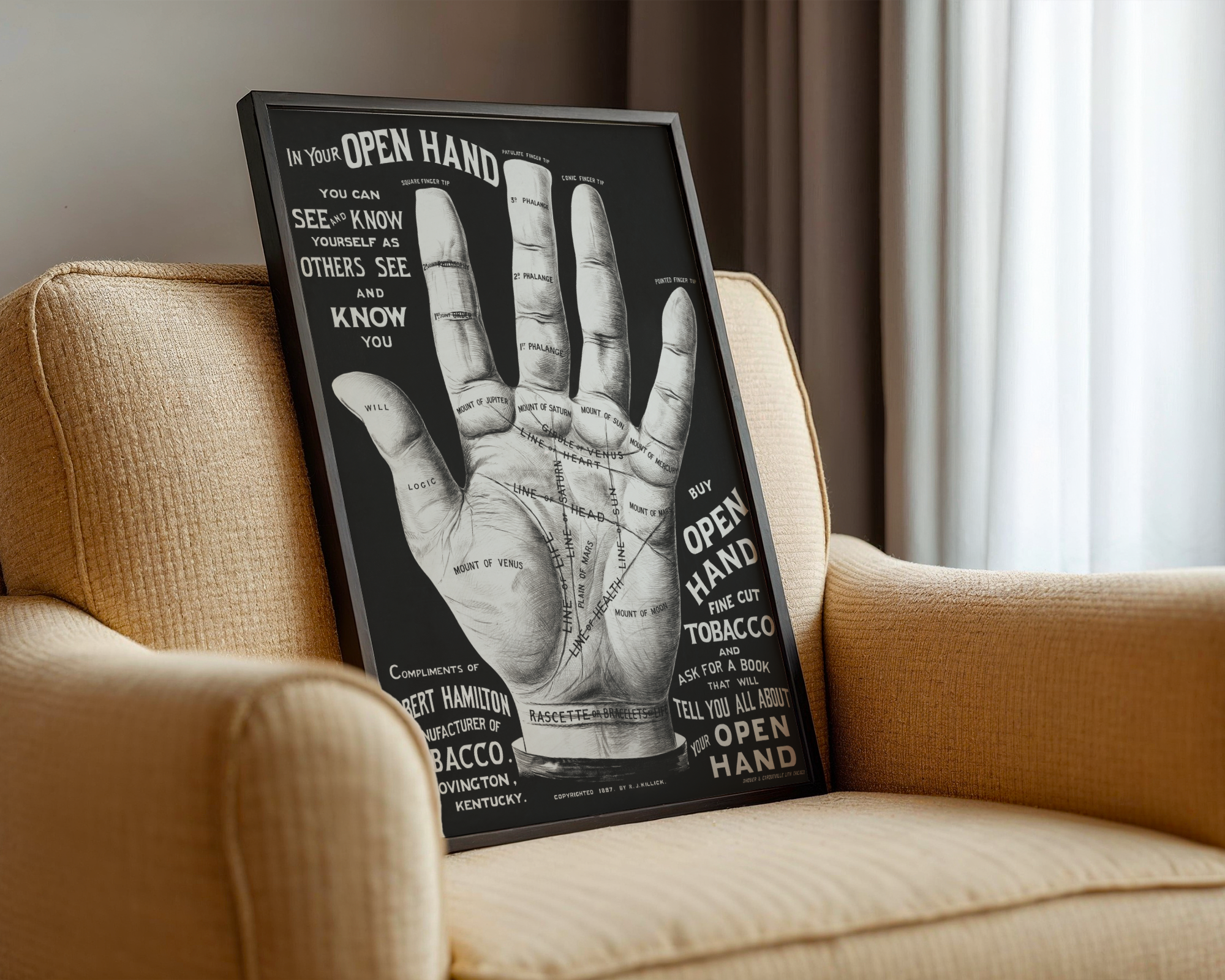 Open Hand, Palm Reading