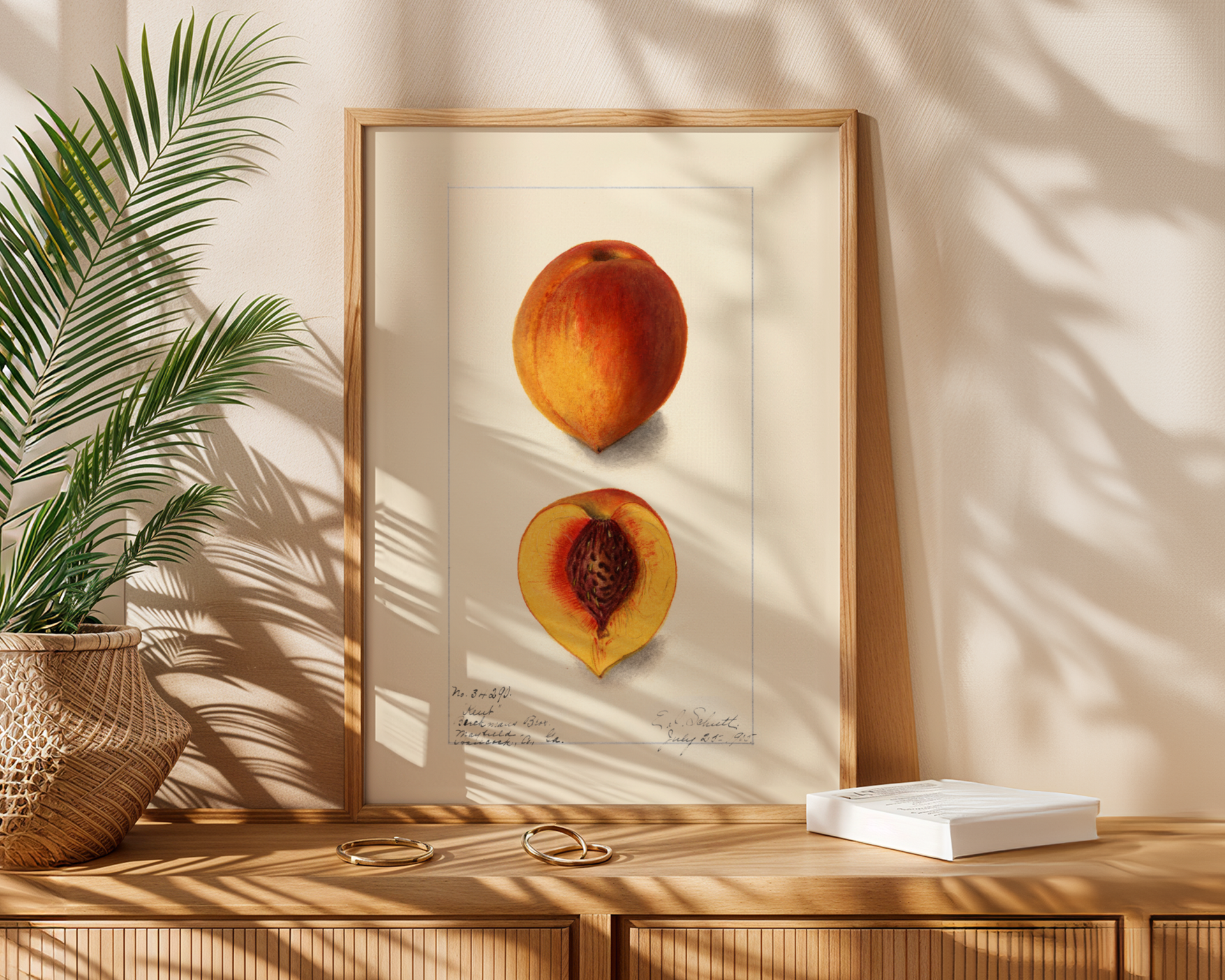 Peach Botanical