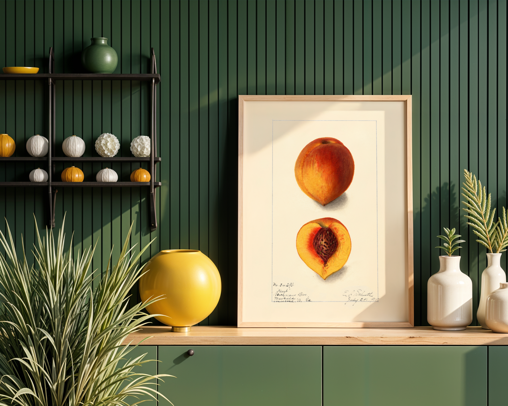 Peach Botanical