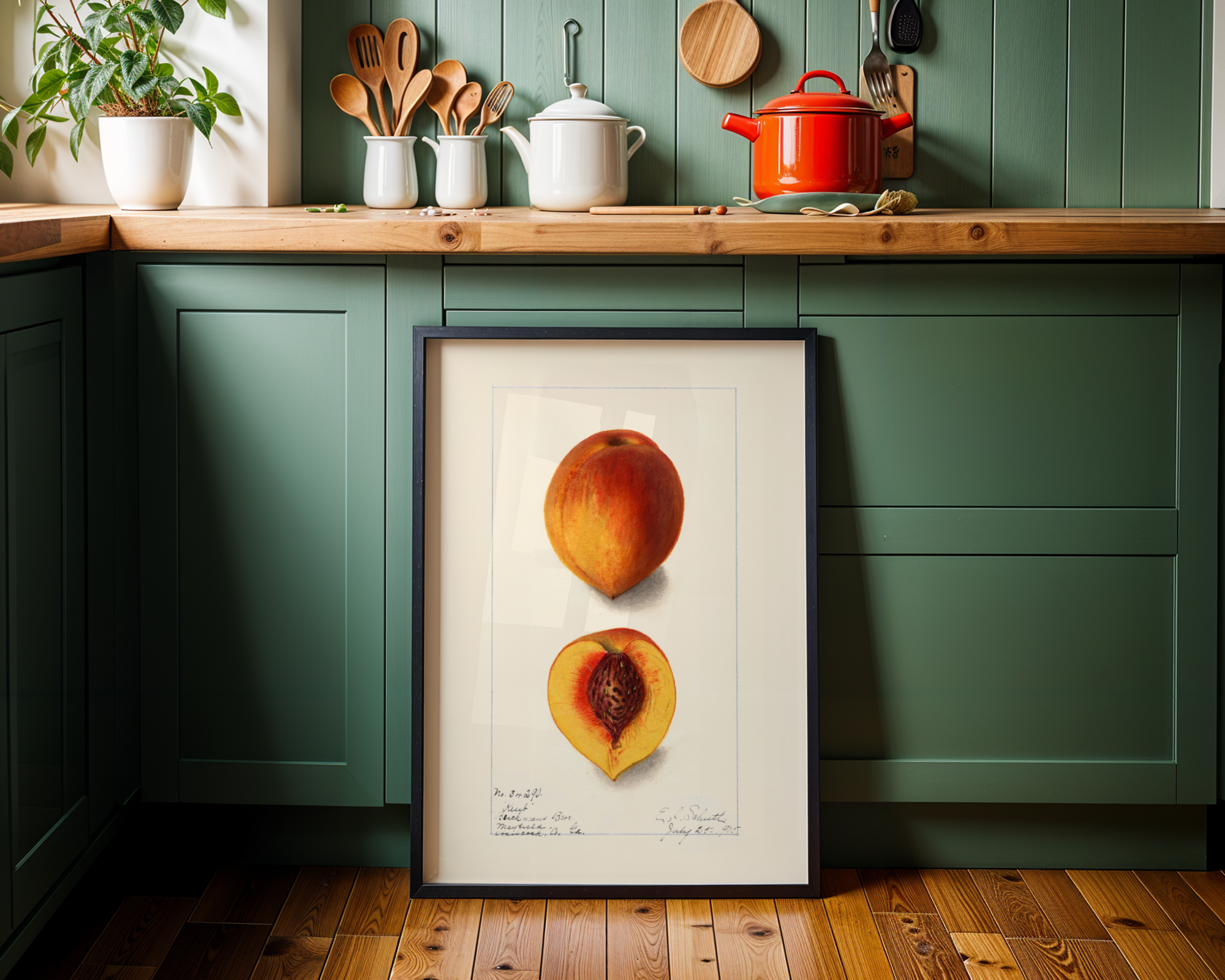 Peach Botanical
