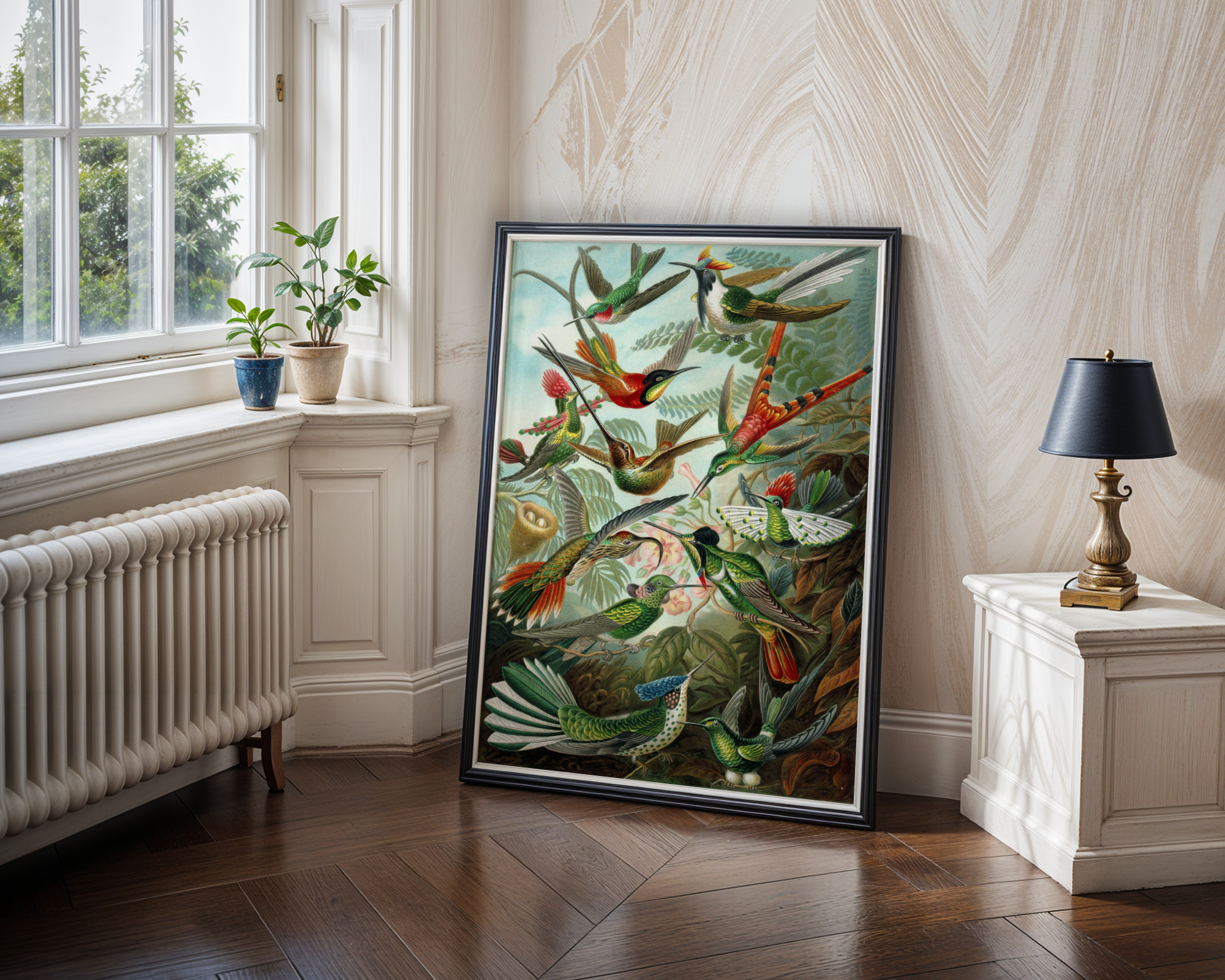 Ernst Haeckel - Kolibrier (Trochilidae)