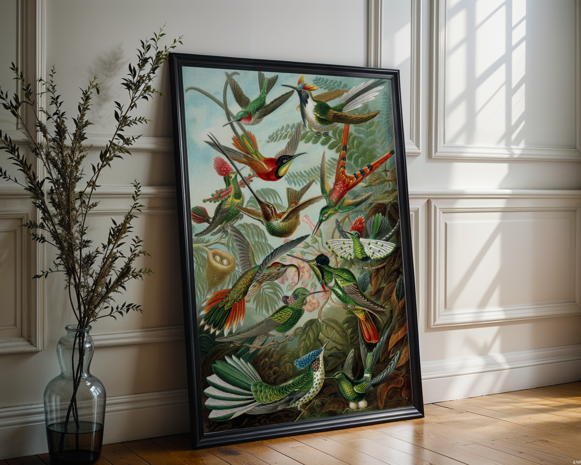 Ernst Haeckel - Kolibrier (Trochilidae)