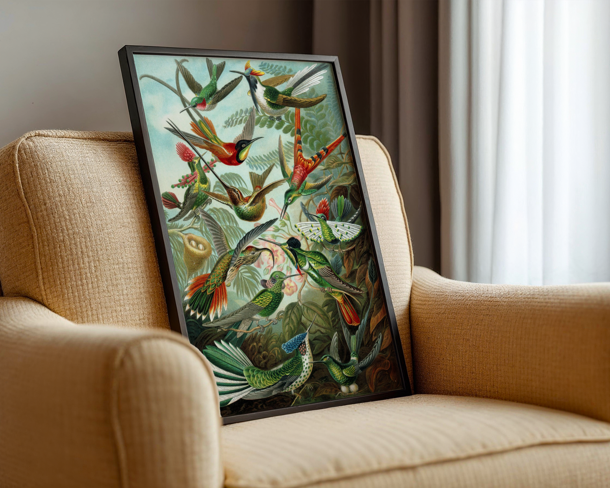 Ernst Haeckel - Kolibrier (Trochilidae)