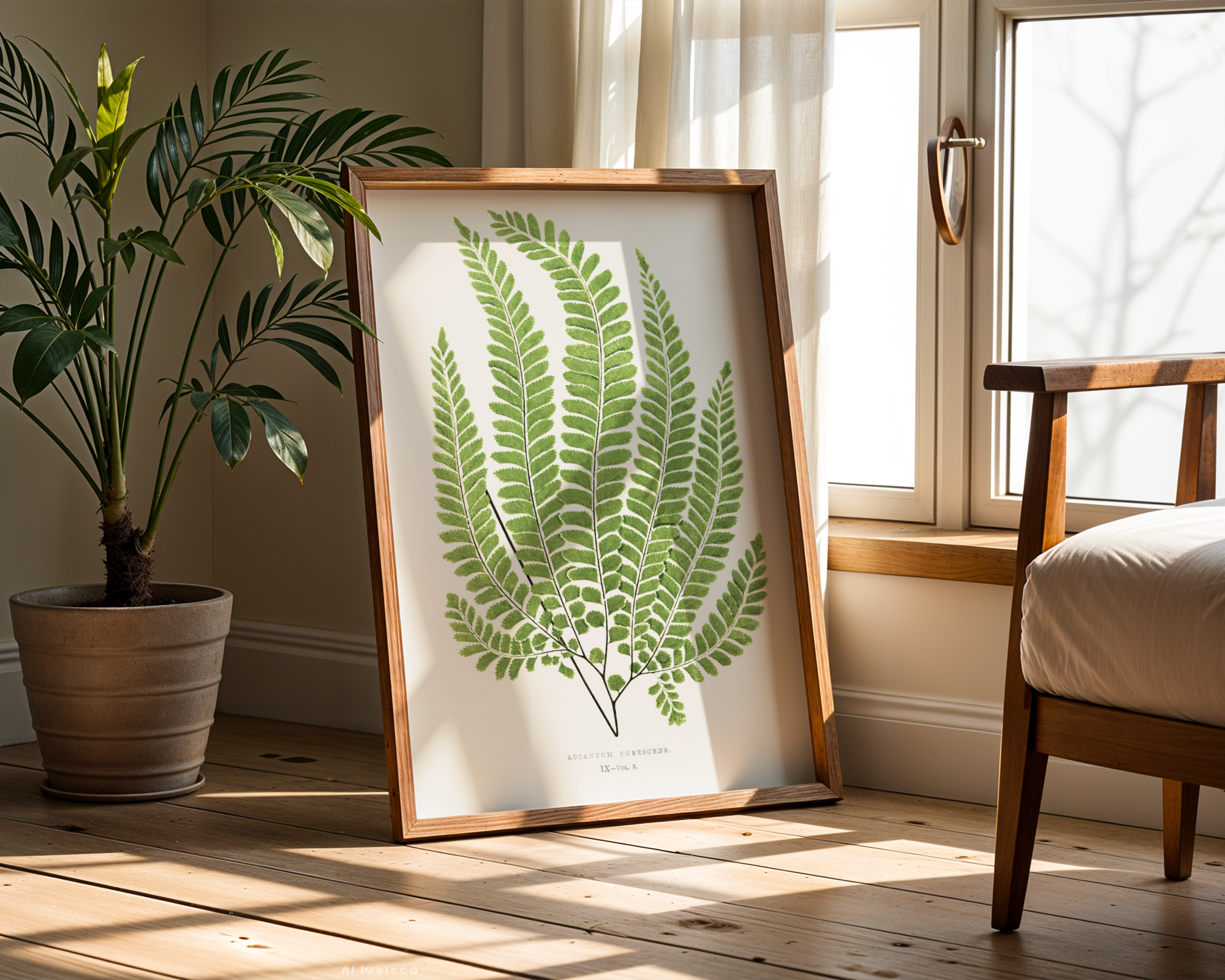 Stupell Industries Cottage Ferns Study