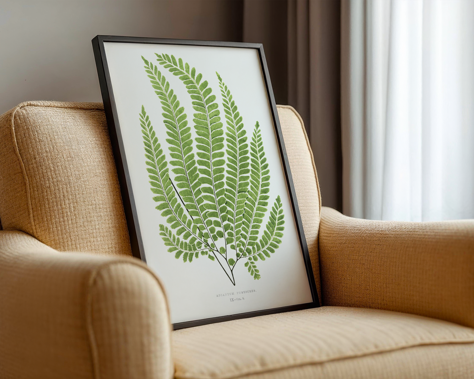 Stupell Industries Cottage Ferns Study