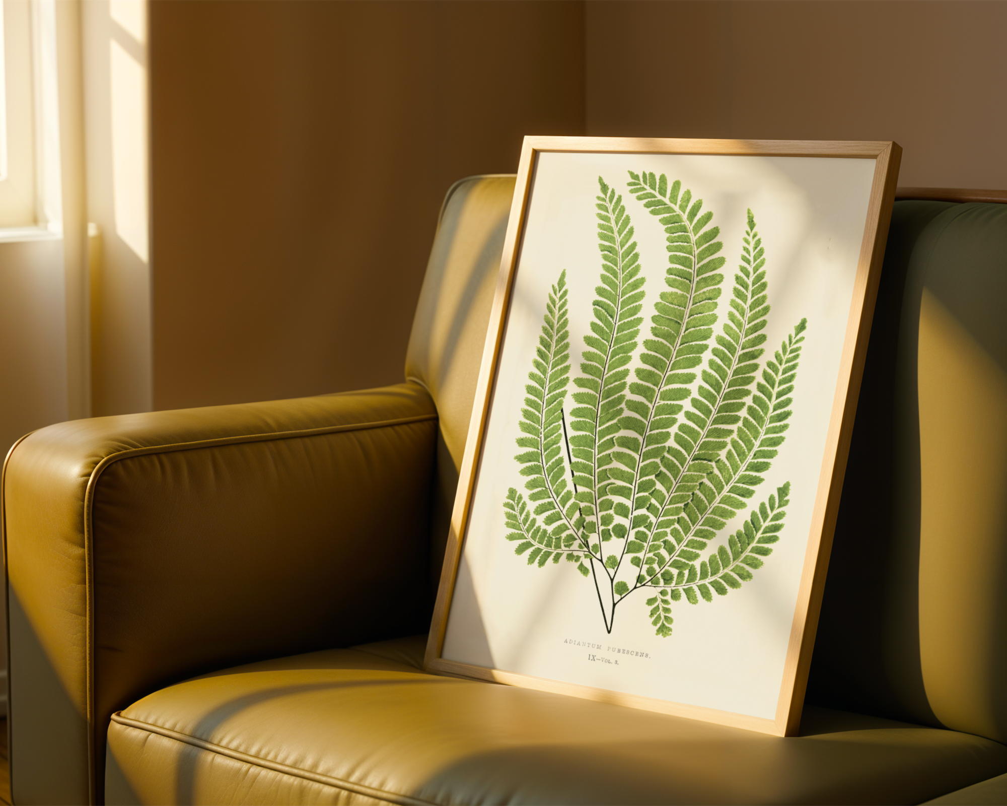 Stupell Industries Cottage Ferns Study