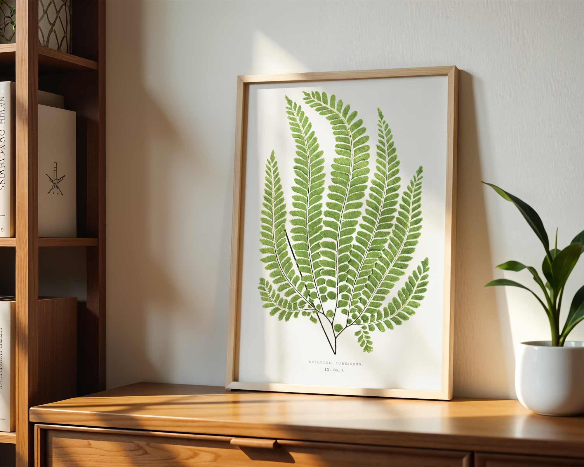 Stupell Industries Cottage Ferns Study