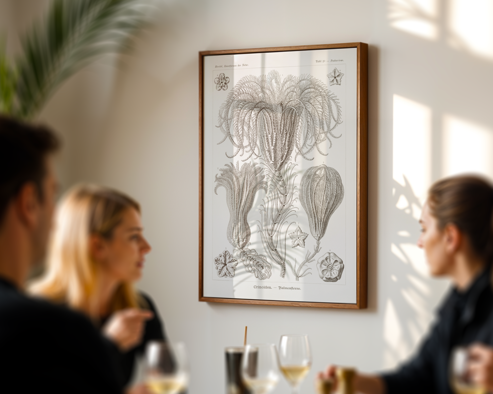 Ernst Haeckel - Crinoidea