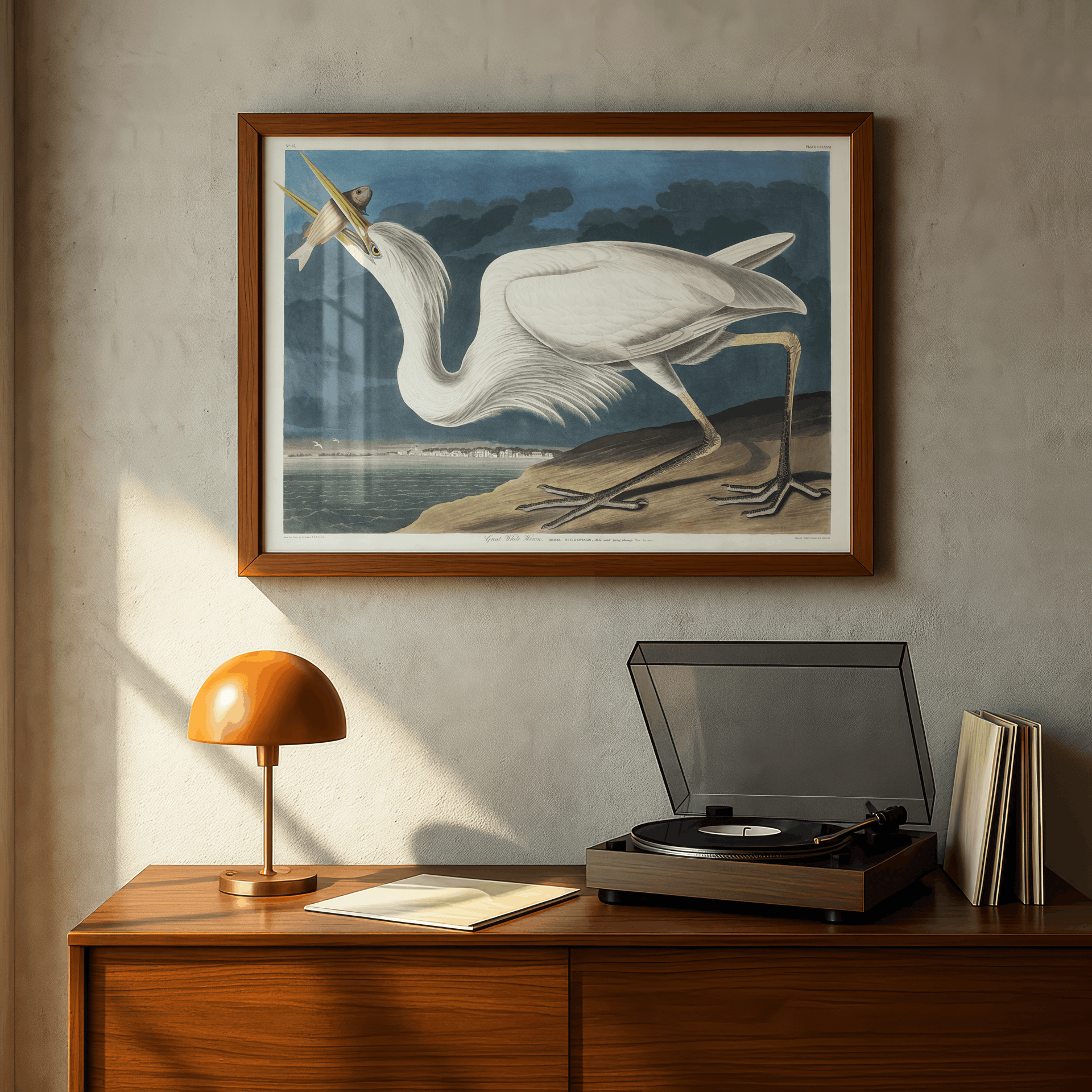 John James Audubon - Great White Heron