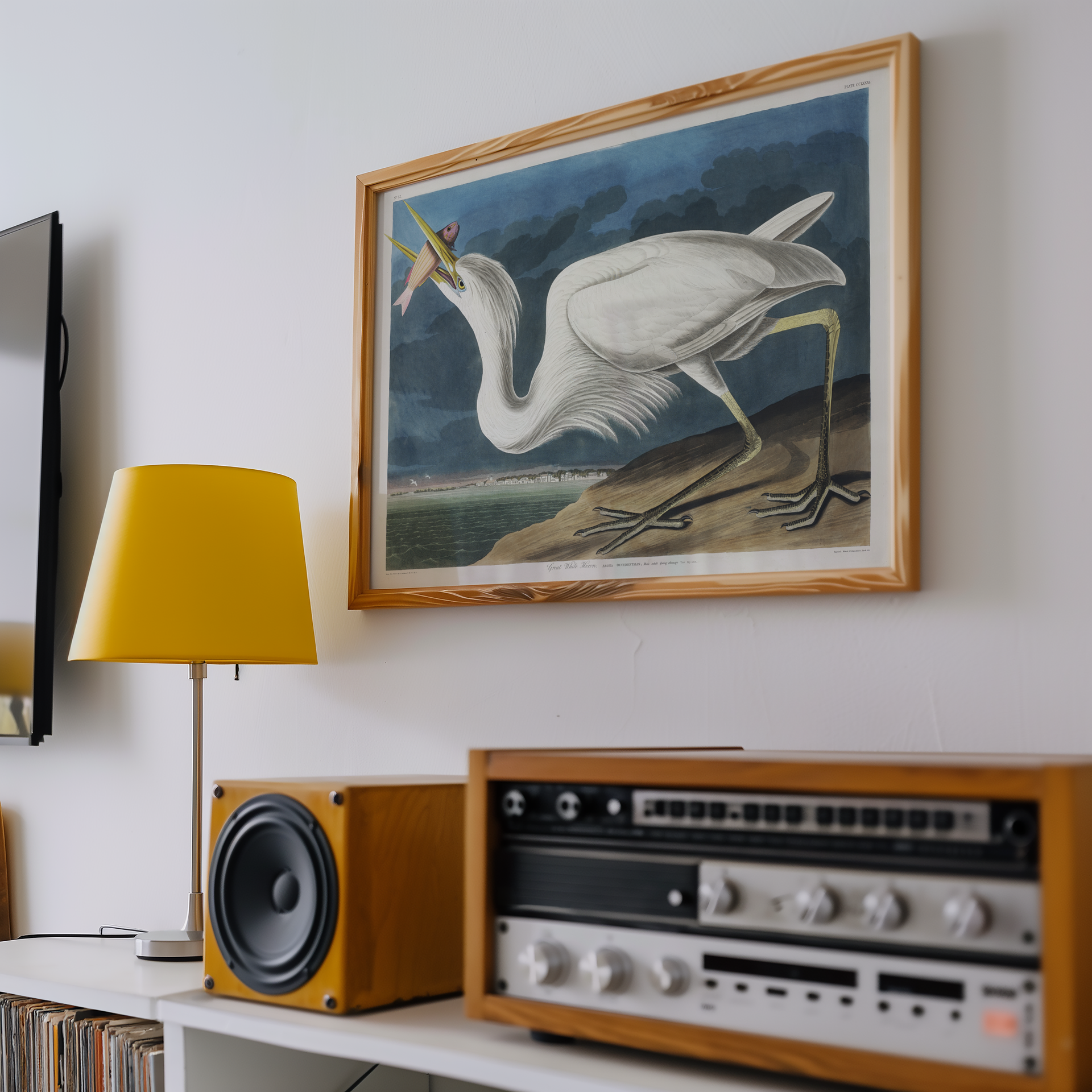 John James Audubon - Great White Heron