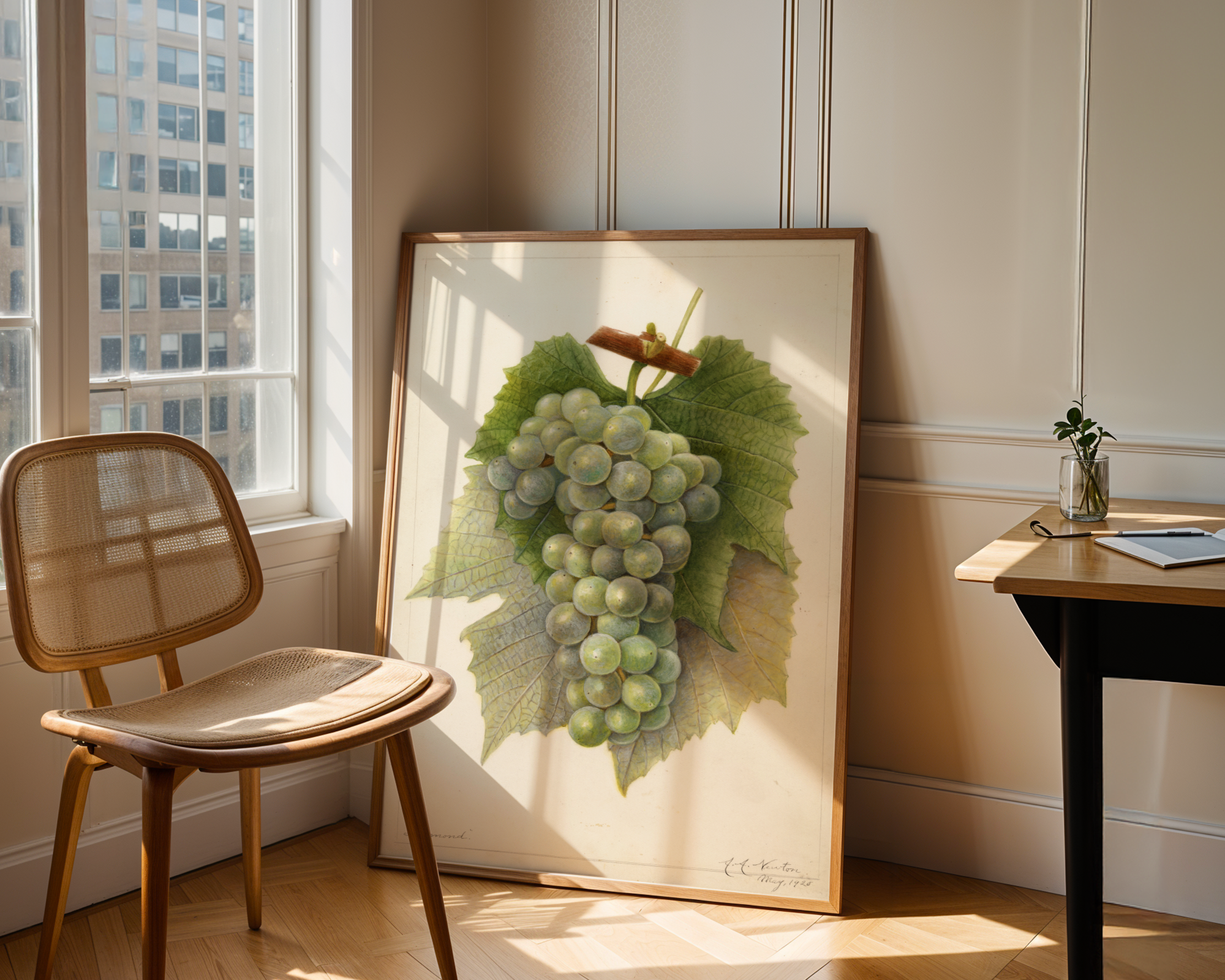 Amanda Almira Newton - Vitis: Diamond