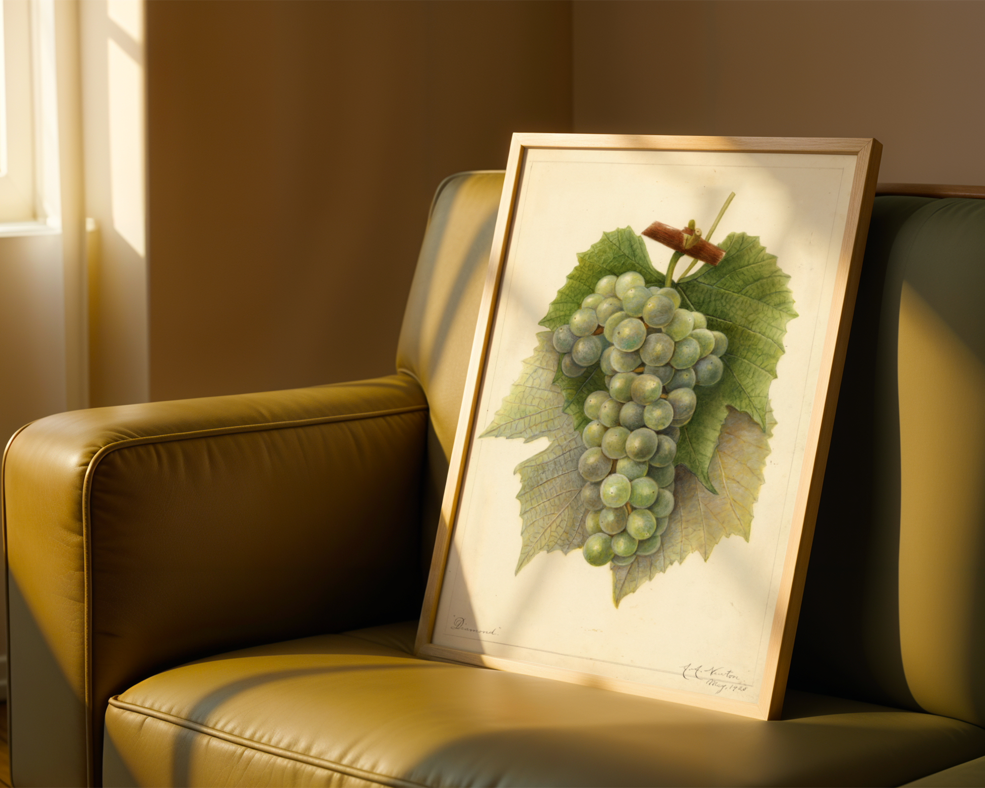 Amanda Almira Newton - Vitis: Diamond