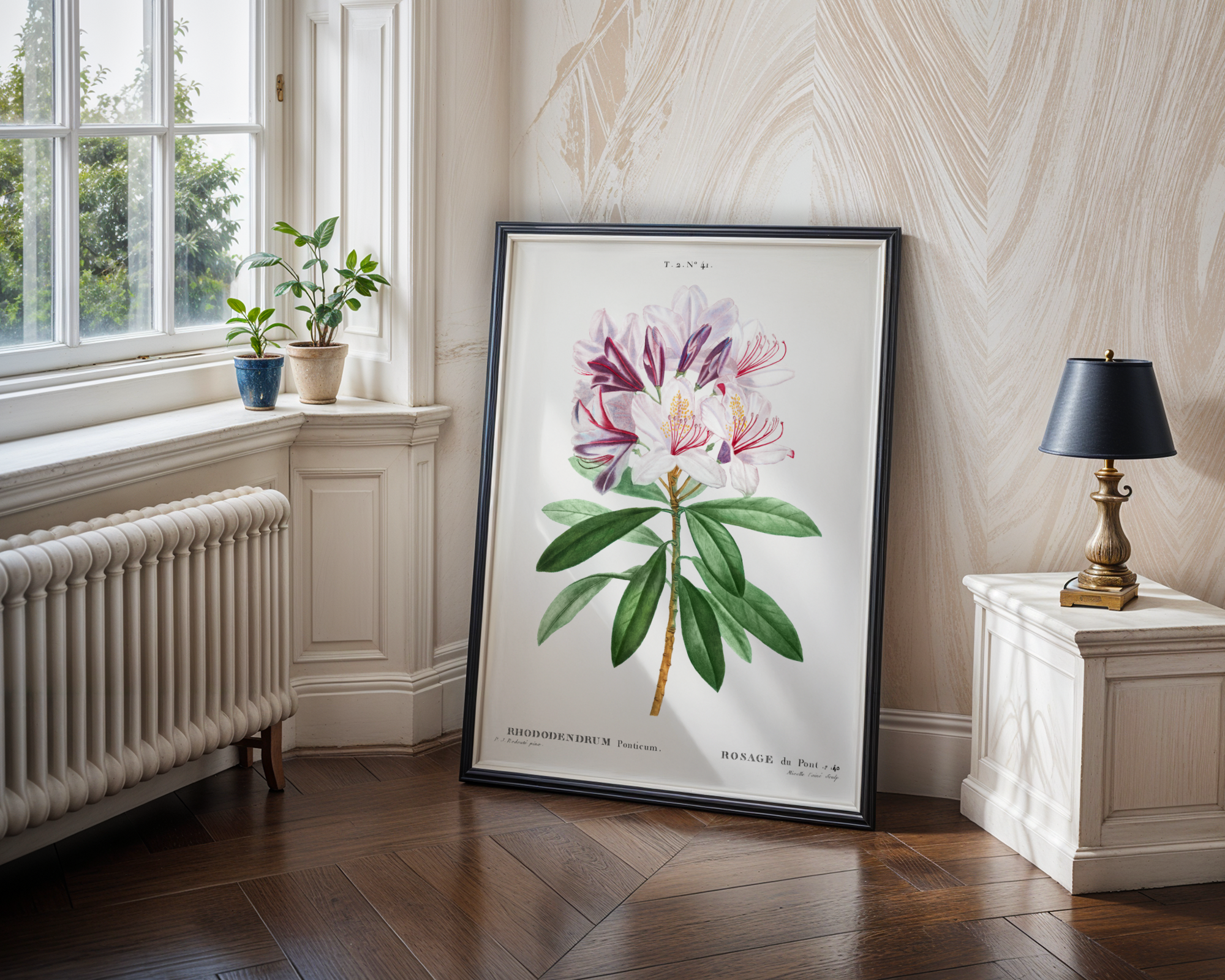 Pierre-Joseph Redouté - Rhododendron ponticum (1802)