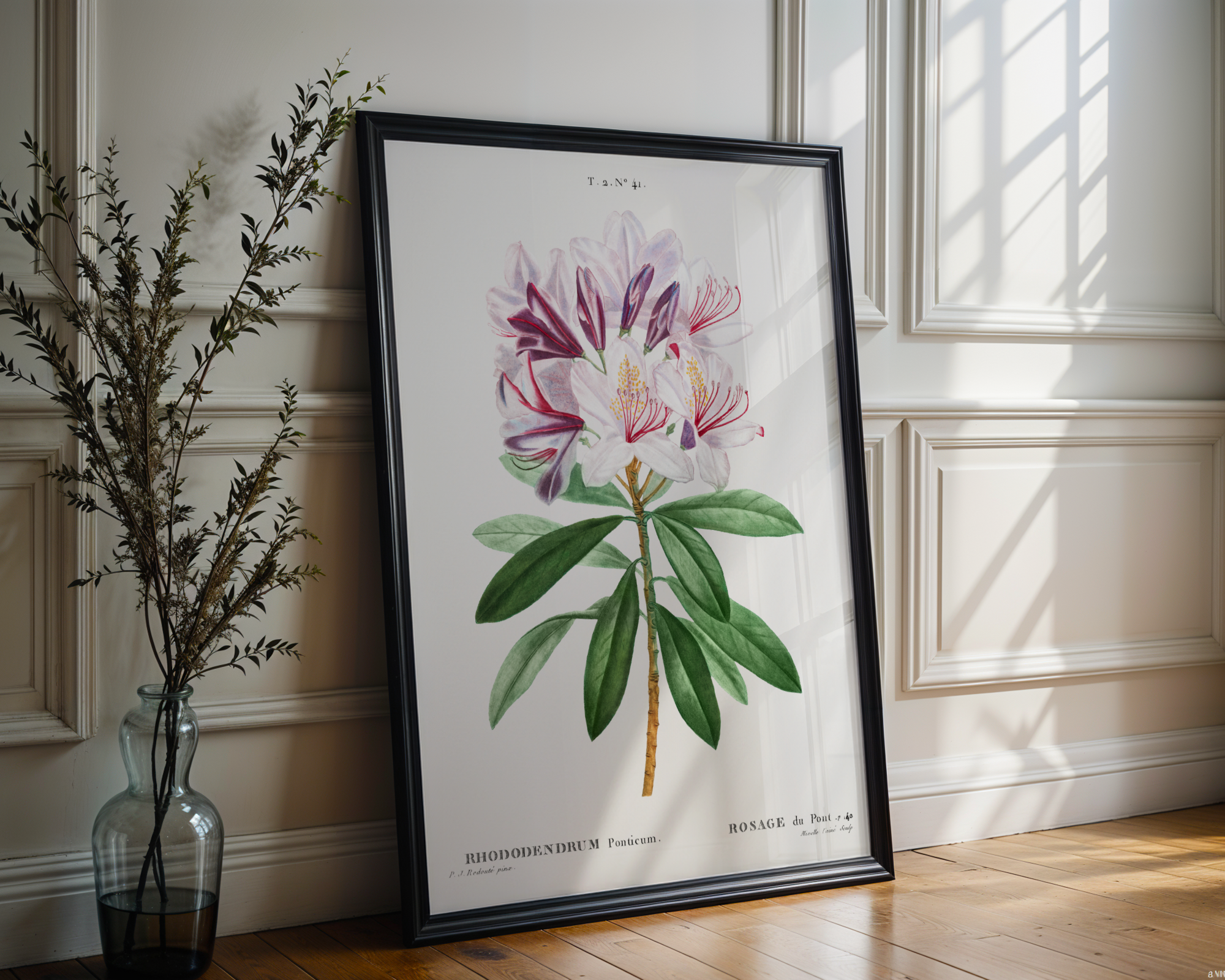 Pierre-Joseph Redouté - Rhododendron ponticum (1802)