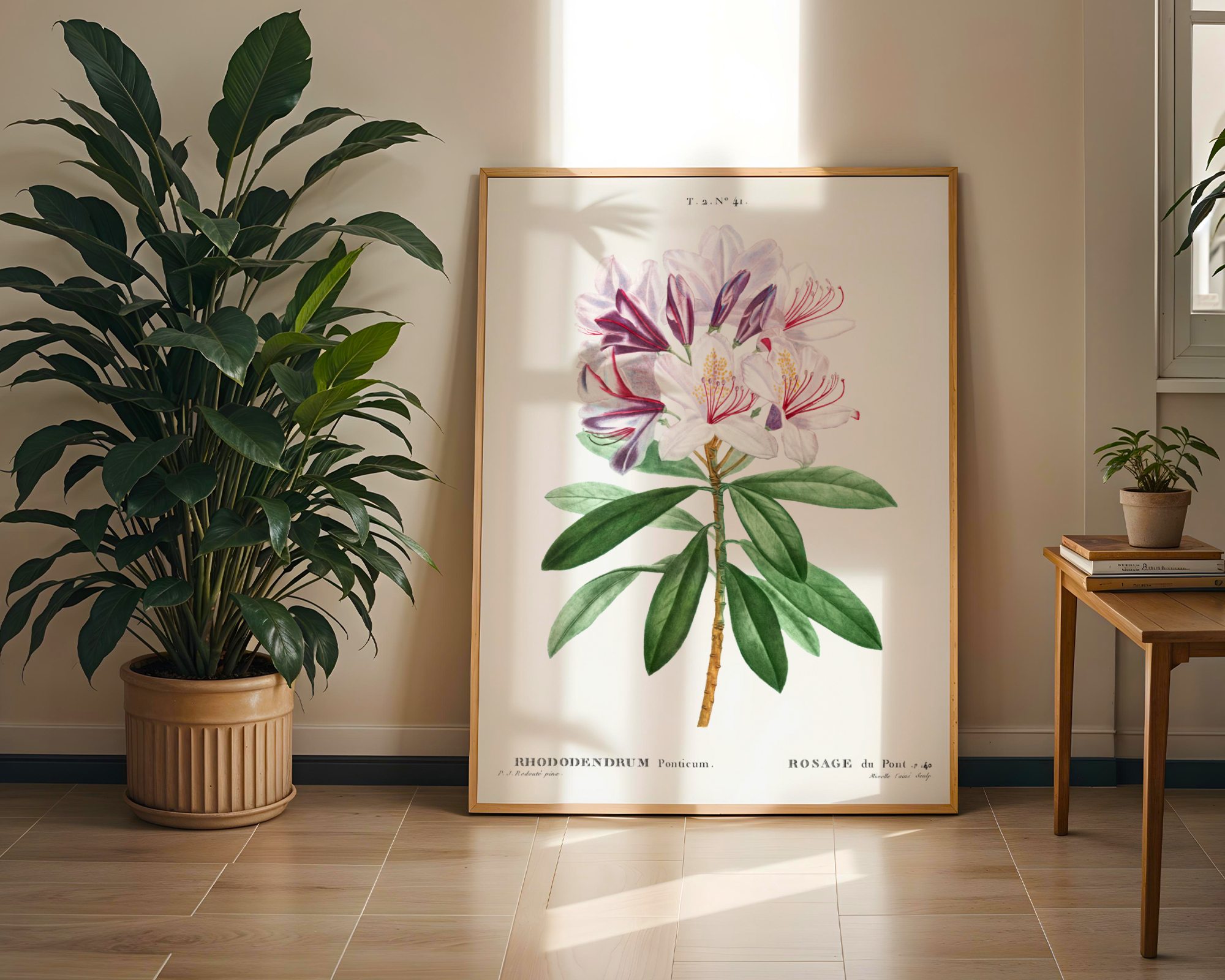 Pierre-Joseph Redouté - Rhododendron ponticum (1802)