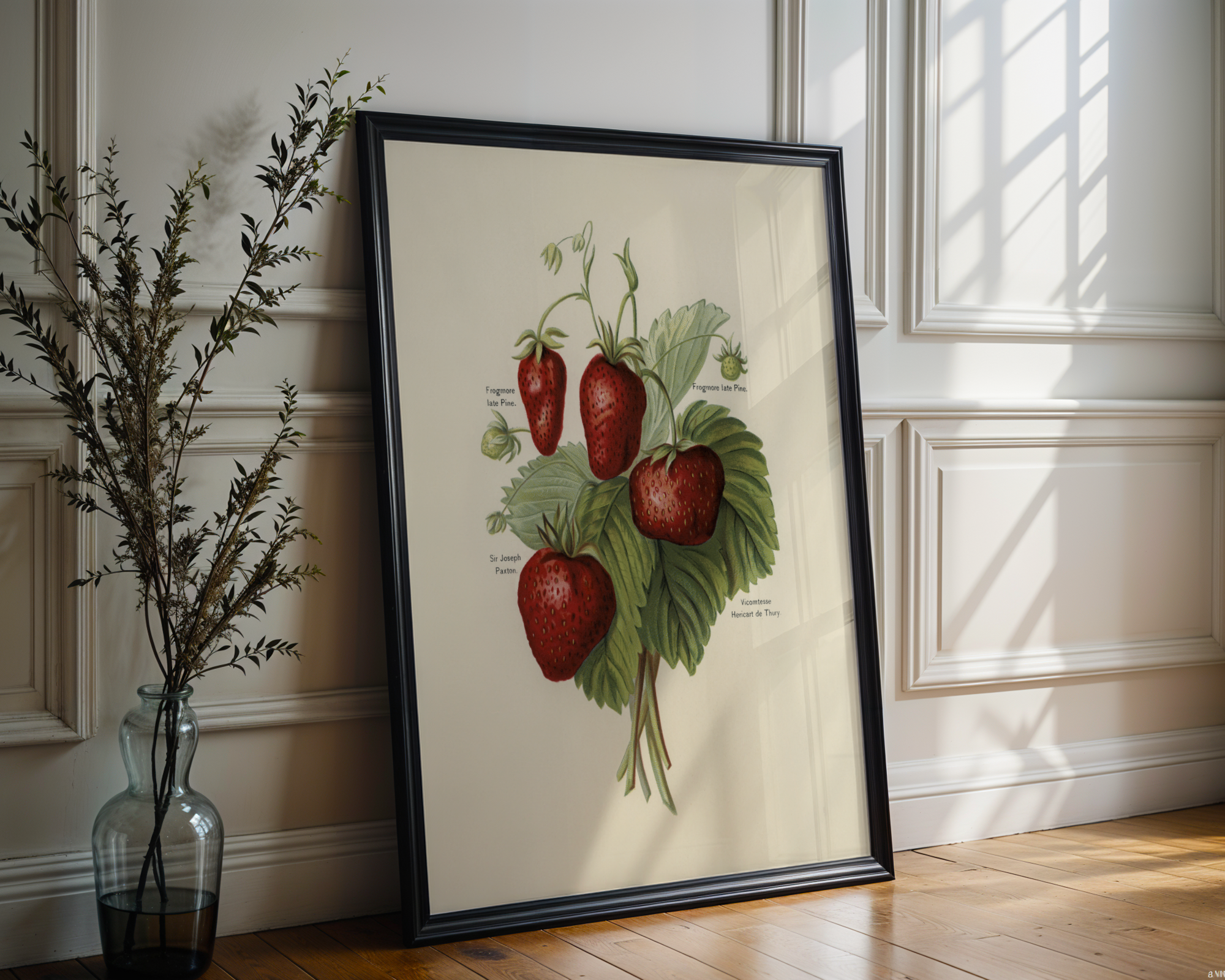 John Wright - Vintage Illustration of Strawberries