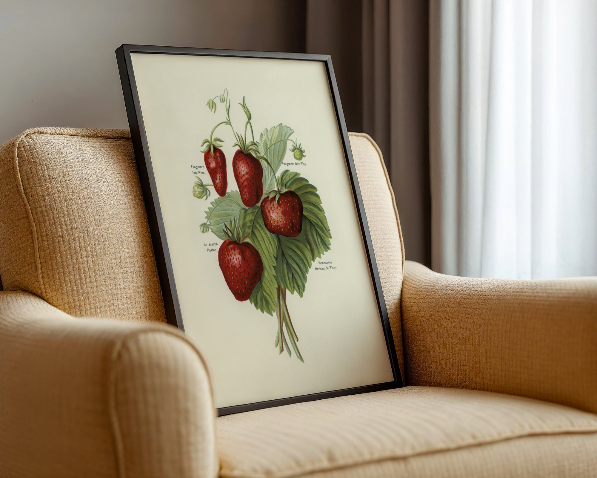 John Wright - Vintage Illustration of Strawberries