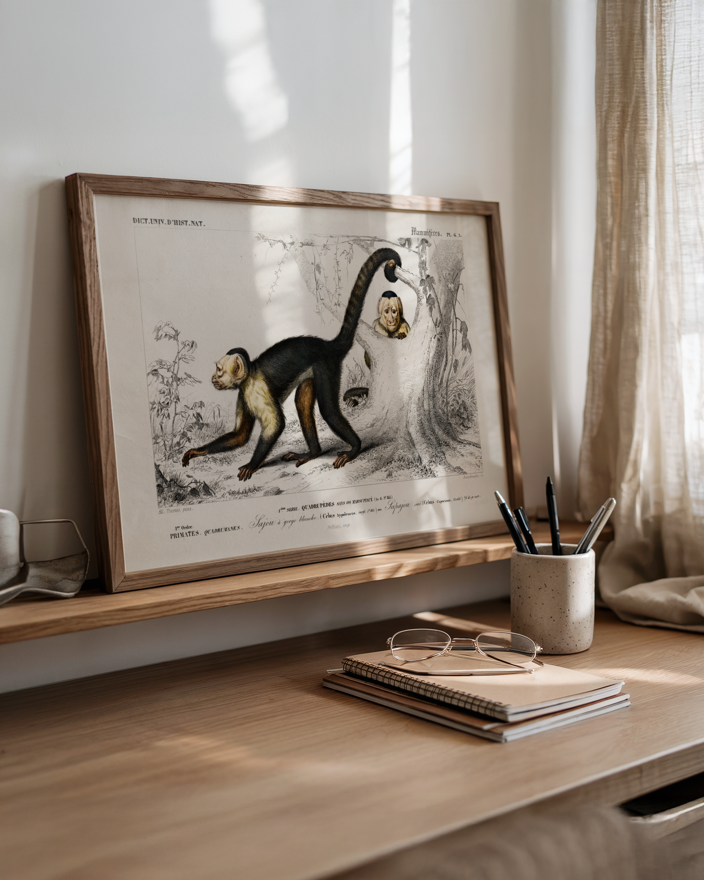 Edouard Travies - Monkey