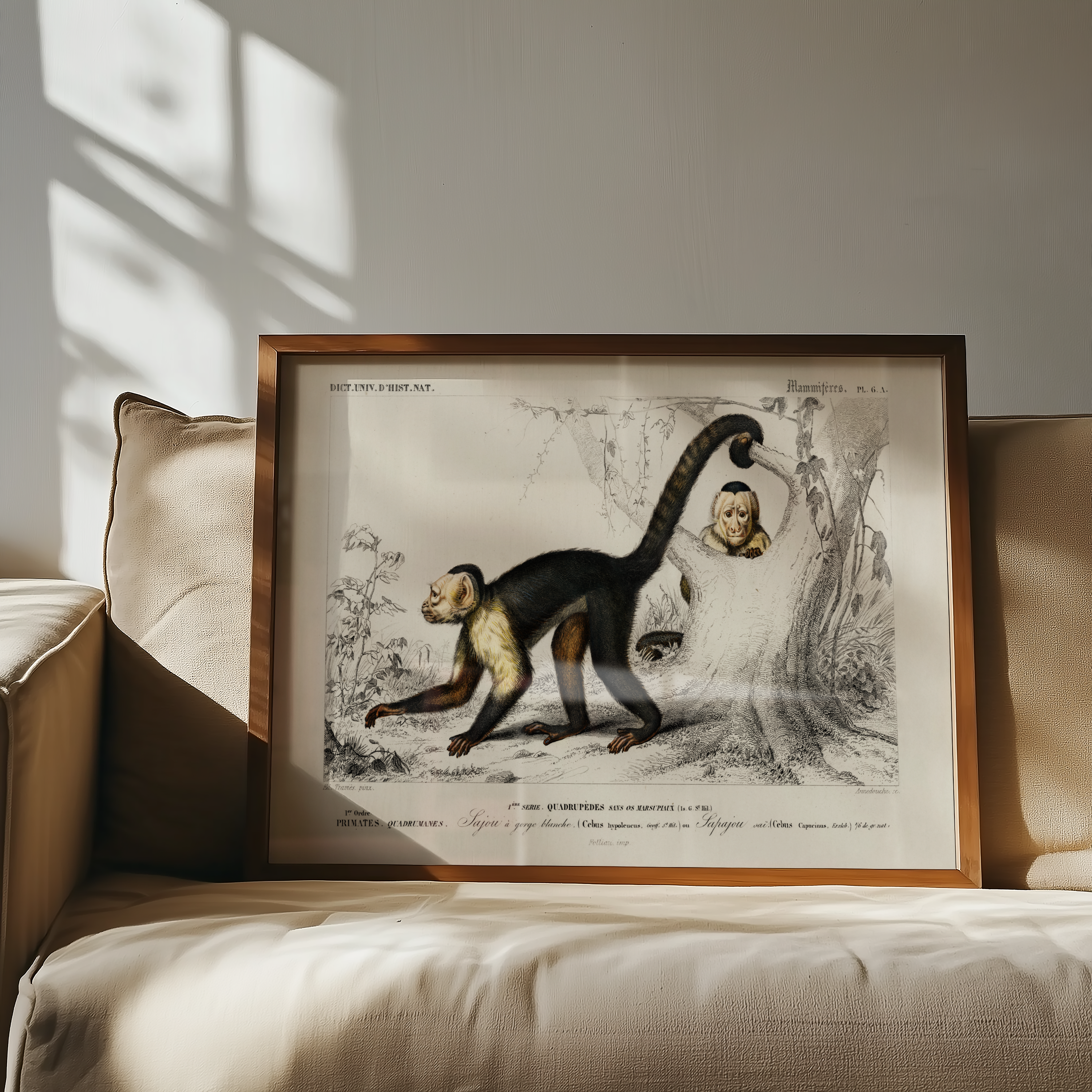 Edouard Travies - Monkey