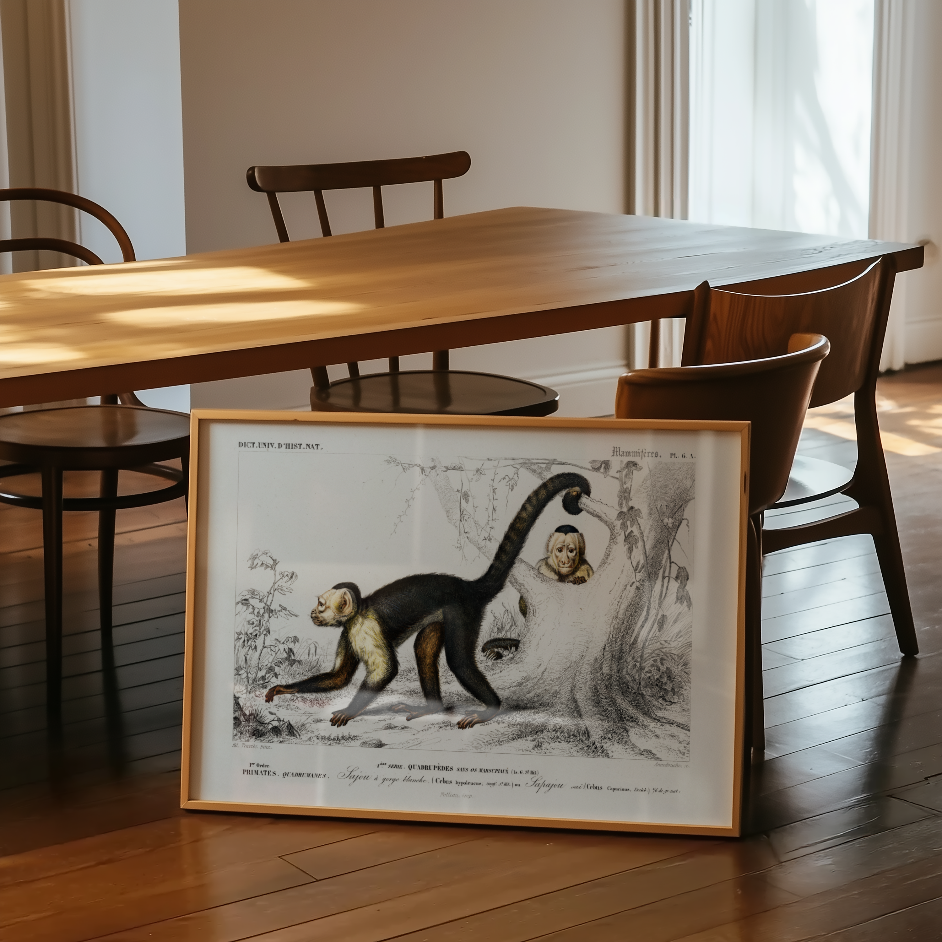 Edouard Travies - Monkey
