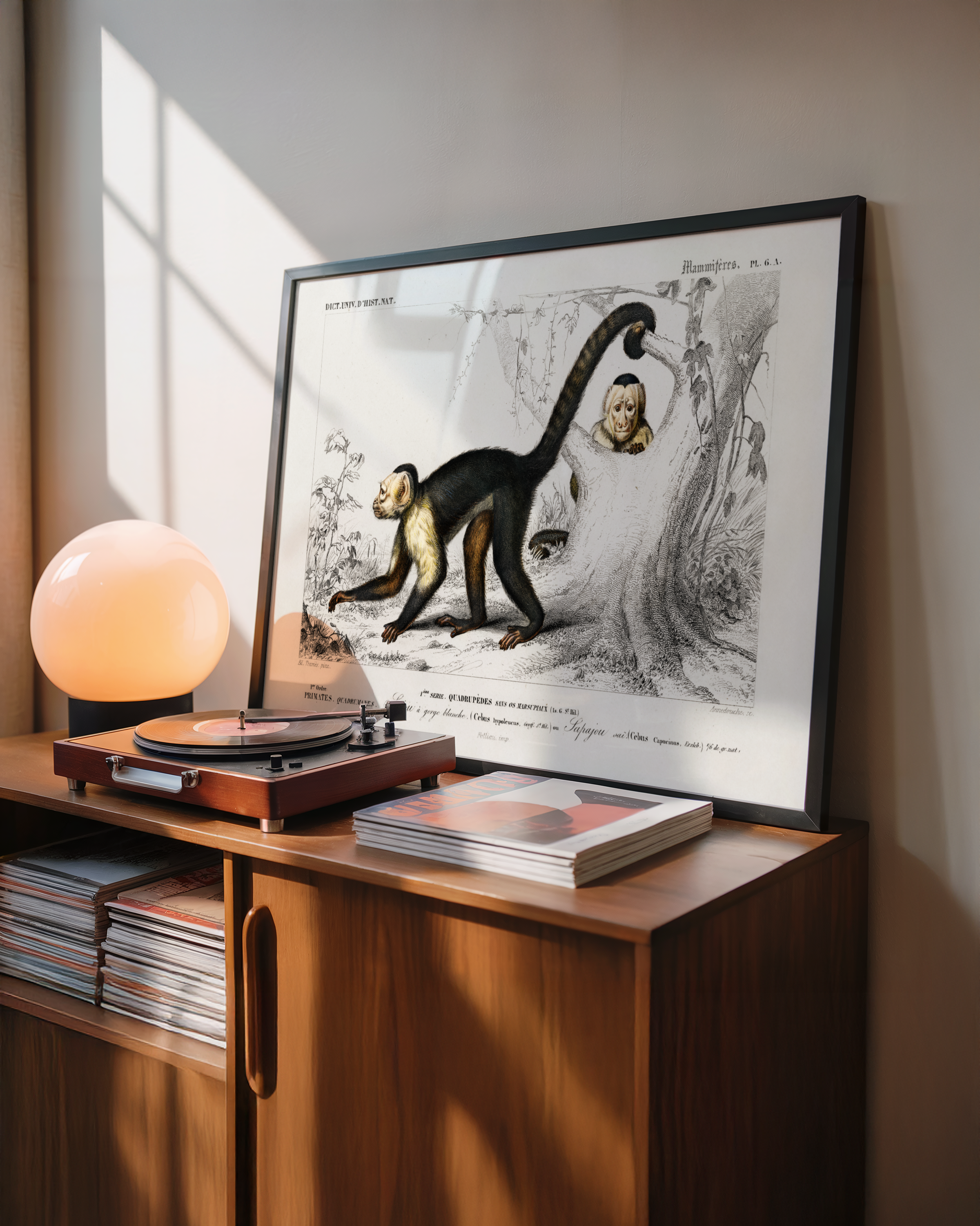 Edouard Travies - Monkey