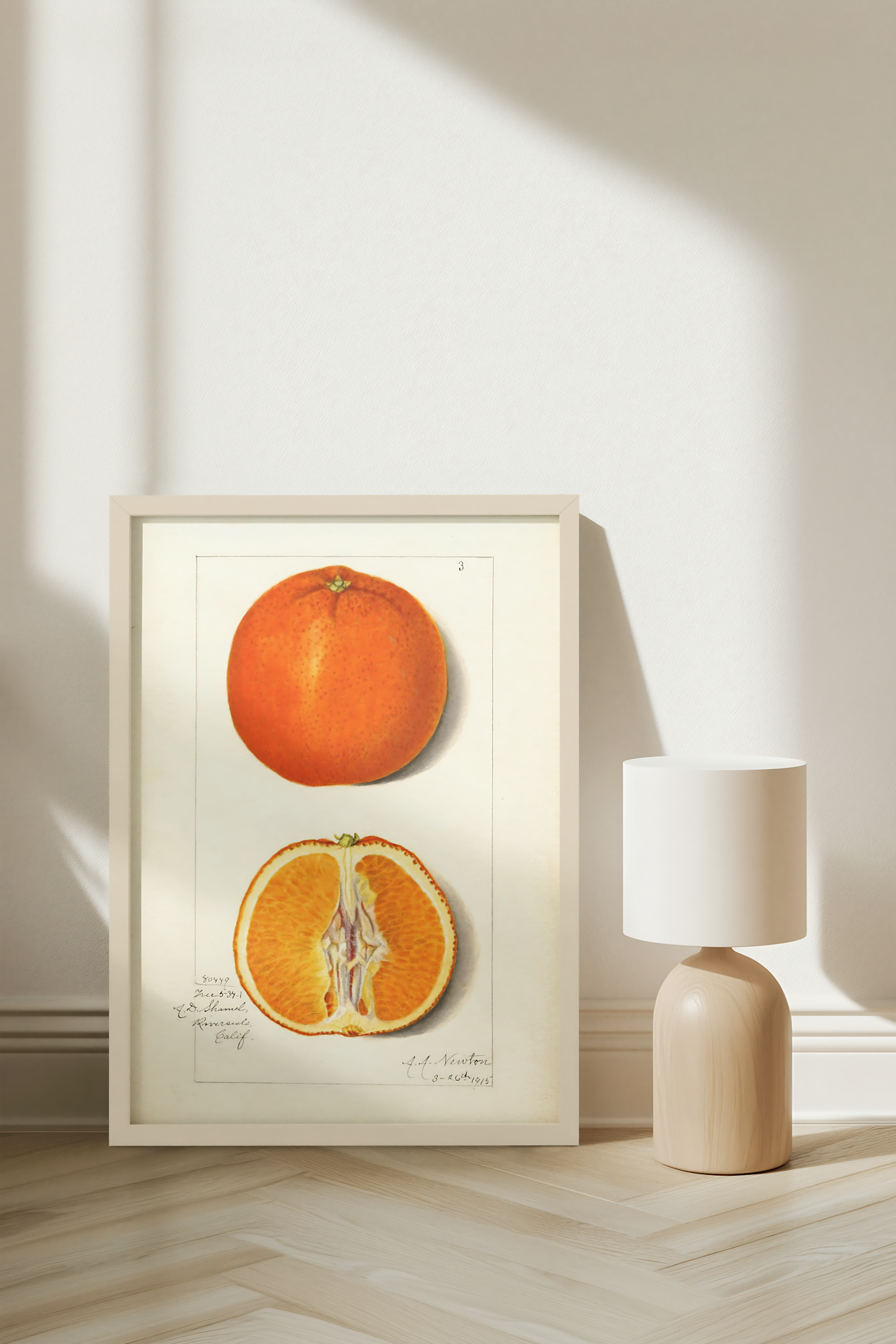 Amanda Almira Newton - Orange Tangerine
