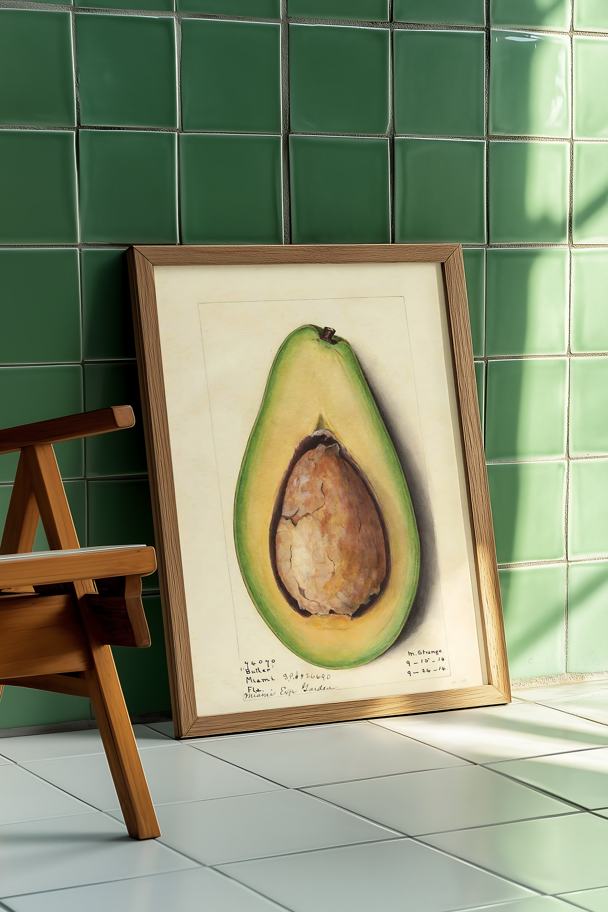 Amada Almira Newton - Avocado (1916)