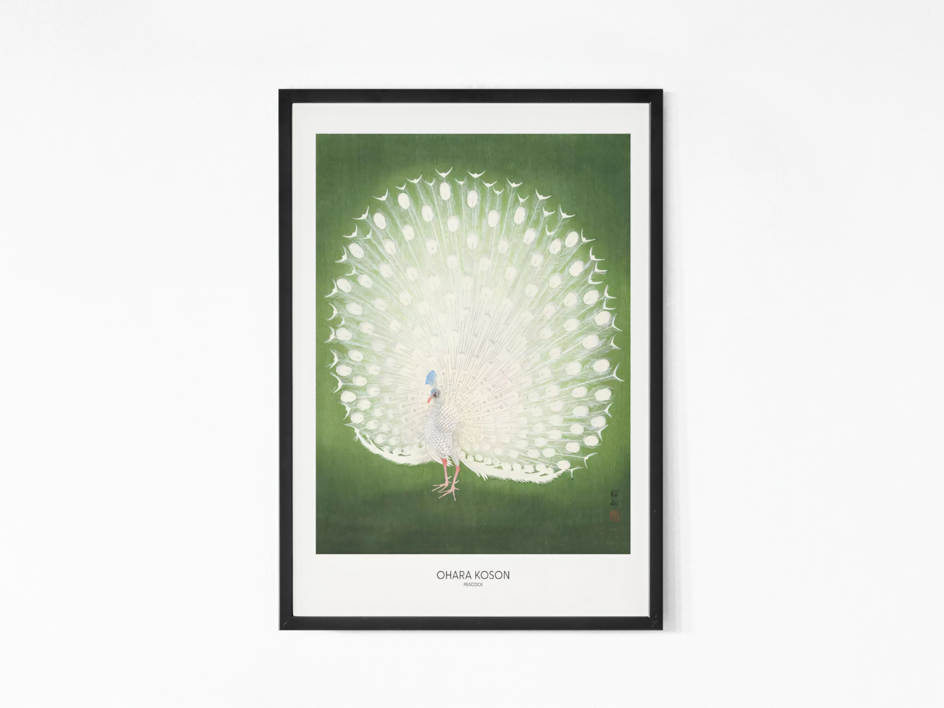 Ohara Koson - Peacock