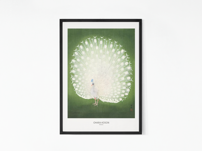 Ohara Koson - Peacock