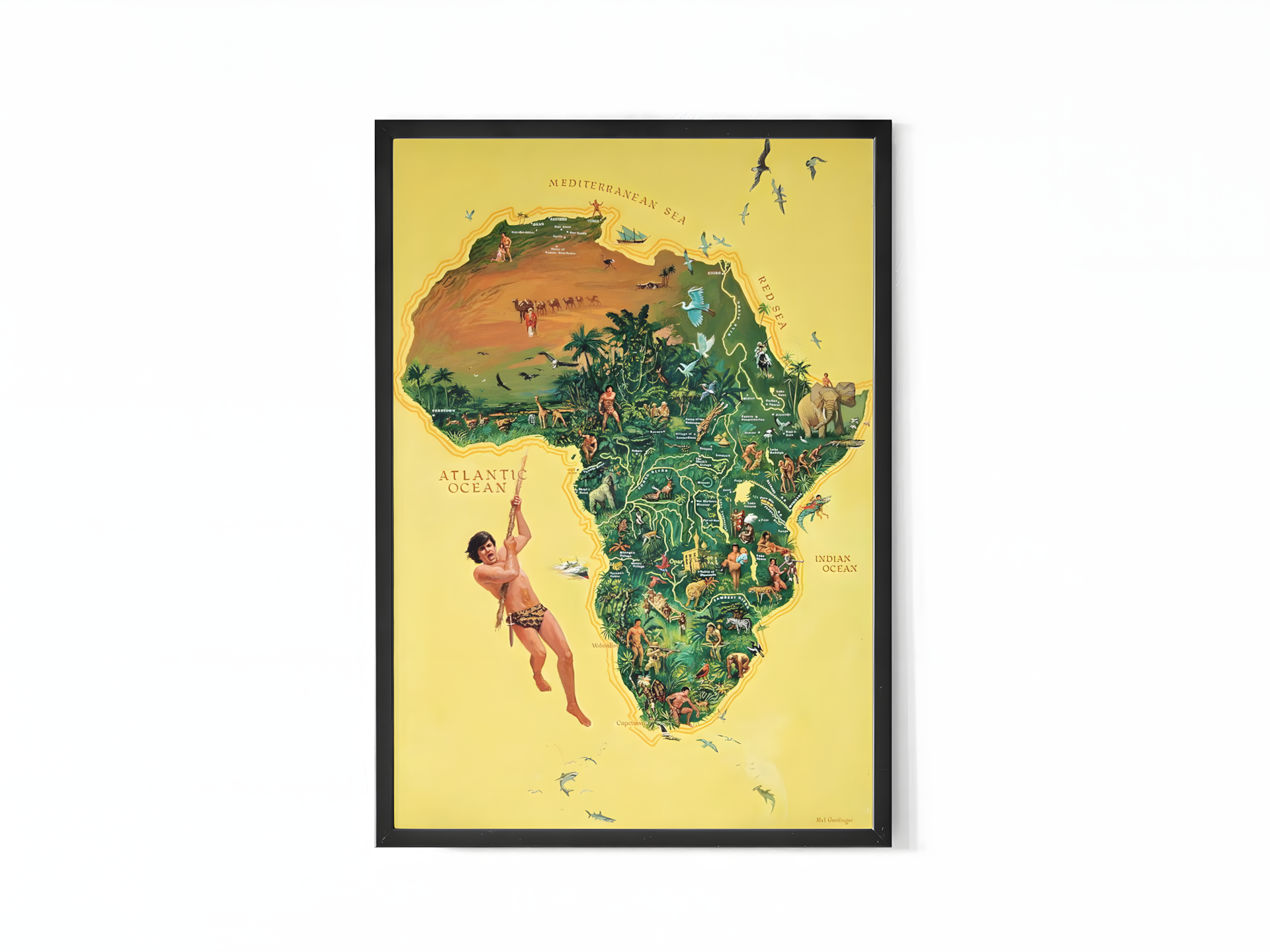 Tarzan Afrika Kart