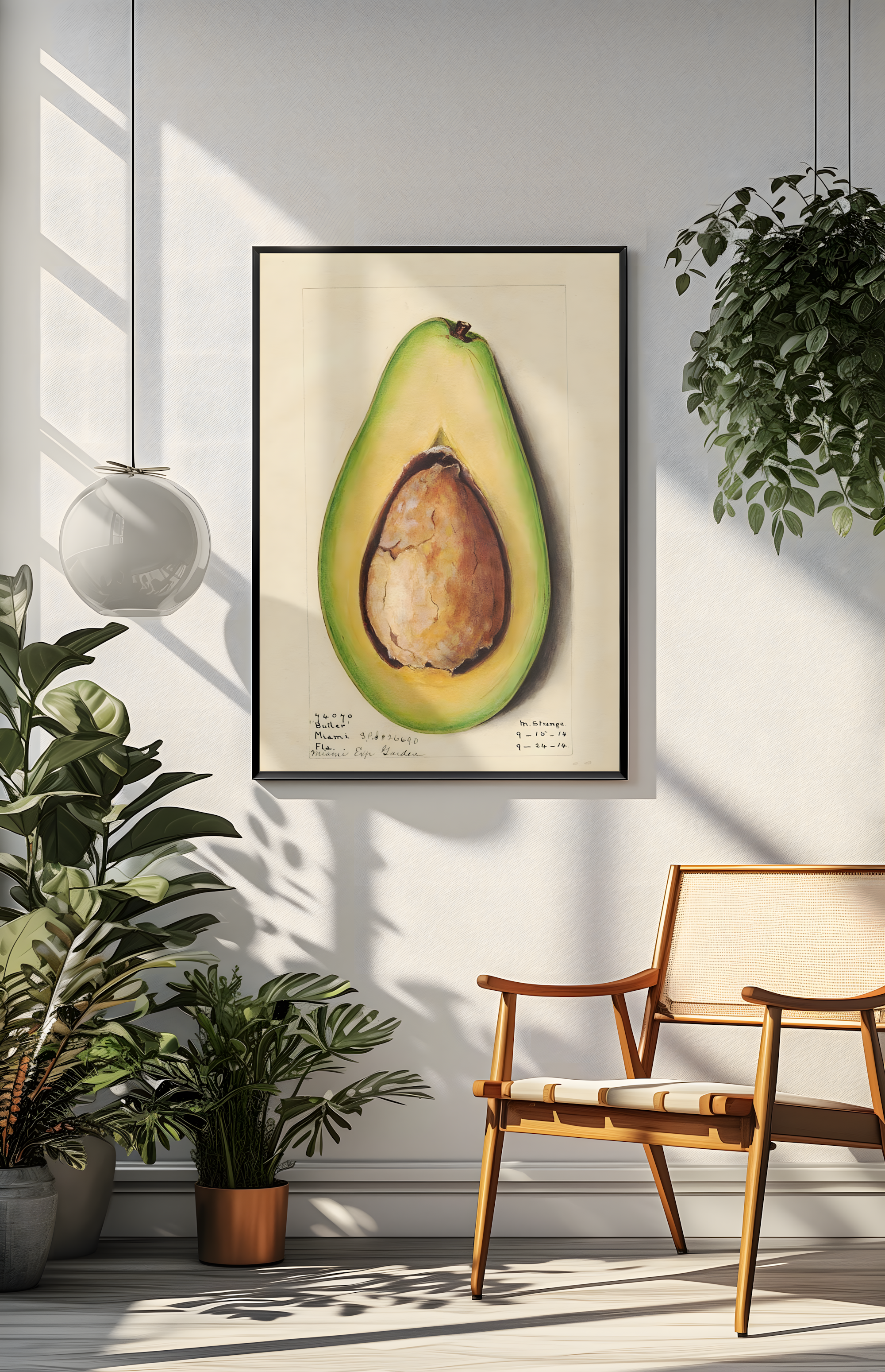 Amada Almira Newton - Avocado (1916)