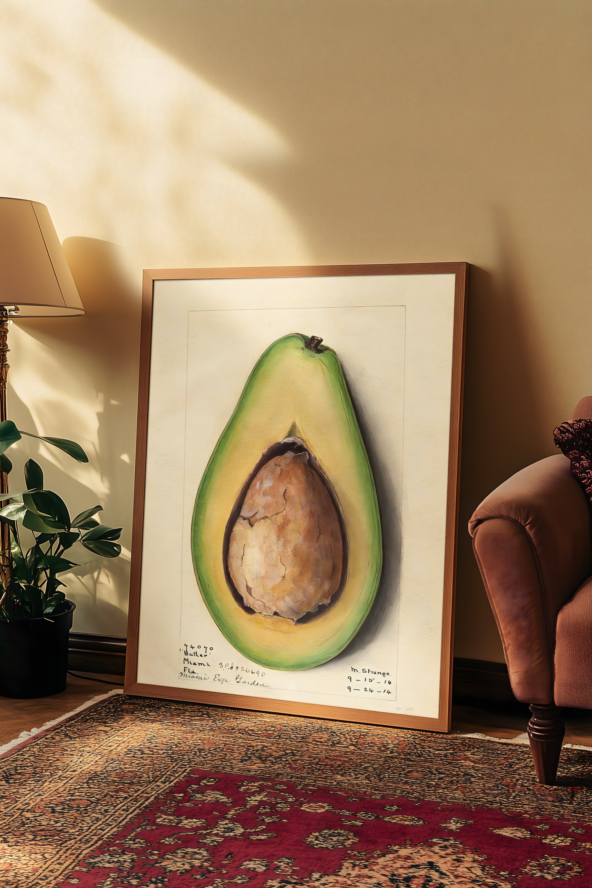 Amada Almira Newton - Avocado (1916)