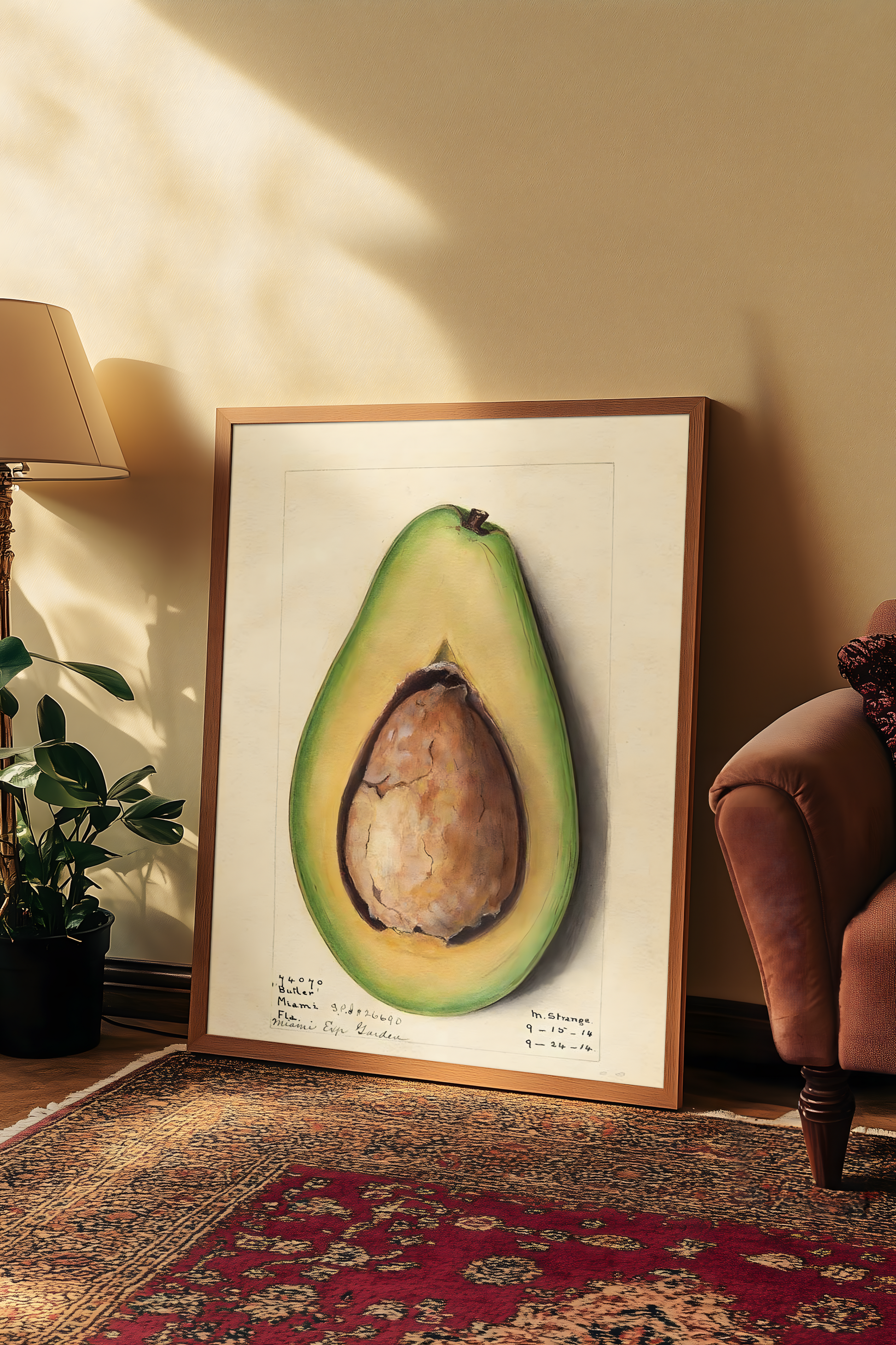 Amada Almira Newton - Avocado (1916)