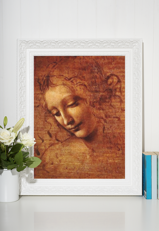 Leonardo da Vinci Uferdige Verk Kunstsamling