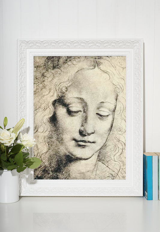 Leonardo da Vinci Uferdige Verk Kunstsamling