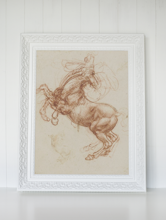 Leonardo da Vinci Uferdige Verk Kunstsamling