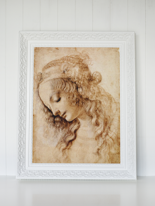 Leonardo da Vinci Uferdige Verk Kunstsamling