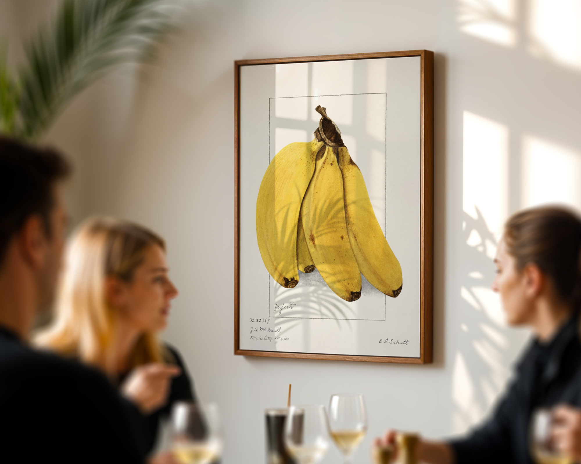 Ellen Isham Schutt - Bananas (Musa) 1904